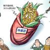 许智宏、饶毅、顾红雅透视转基因：事实为据，不避锋芒