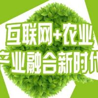 “互联网+化肥”别忘了服务和监管 