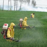 农业部启动2016年防病治虫夺丰收行动 努力实现“虫口夺粮”农药减量增效！