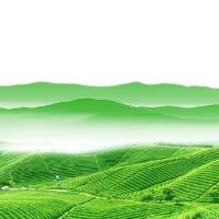 如何发展现代农业？用工业理念去发展？