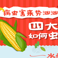 病虫害来势汹汹，四大主粮如何虫口夺粮？