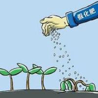 湖北源丰化工“沃尔特”假化肥坑农害农