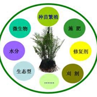专家：土地退化严重 生物农药肥料将迎来发展契机