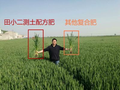 田小二智能配肥受追捧，种植大户称赞【真测土、真配肥、真服务】