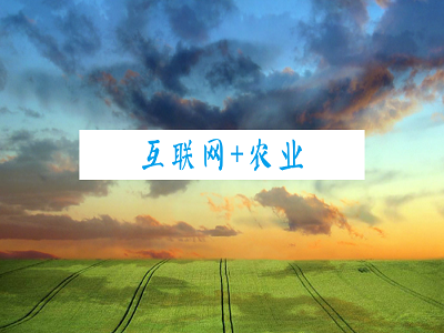 聚焦“互联网+农业”，禾大科技深耕精准农业助力乡村振兴