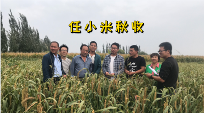 科技下乡显成效  丰收那是必须的