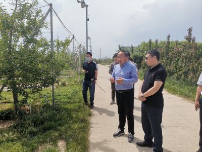 富邦股份、禾大科技一行赴洛川考察苹果产业发展