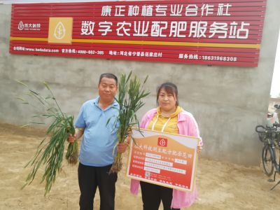 让数字服务走进田间地头！宁晋首家数字农业配肥服务站开业啦~