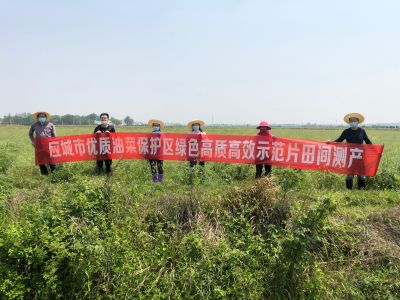 【油菜轮作与科技创新示范】项目实施达到预期成效，推动应城油菜绿色高质高效