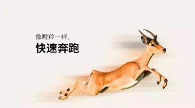 喜报 | 禾大科技荣获2020年度光谷“瞪羚企业”称号