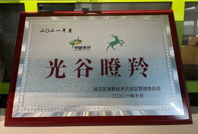 禾大科技再获光谷“瞪羚企业”殊荣
