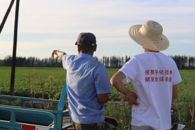 数字技术助力打造博州“四个百万亩”制种示范基地！